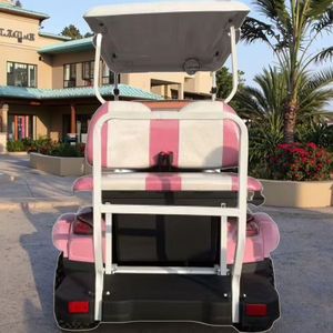 Voiturette de golf électrique 4 places personnalisée tout-terrain, véhicule de réception, véhicule de patrouille, certifiée CE GCC EEC pour les routes non publiques - Product Image 2