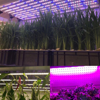 Lux 6ft le 2021 Tube Ir Led élèvent la lumière en aluminium 2.1 Led Tube T8 120cm Uvb/uva 280-290nm élèvent la lumière 120 acceptent l'OEM