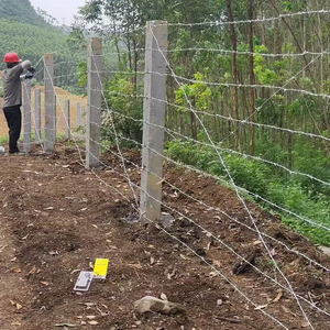 Fil barbelé à <span class=keywords><strong>prix</strong></span> d'usine en gros, 500m par rouleau, fil barbelé galvanisé à 4 points pour clôture de ferme et sécurité - Product Image 6