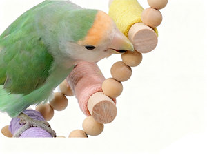 Macaron Kleur Katoenen Touw Ladder-Kauwbare Papegaai Klimspeelgoed Anti-Angst Vogelkooi Decoratie Baars Voor Kleine Vogels - Product Image 5