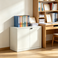 Archivador Metálico Moderno con Cerradura de Código, Duradero y de Gran Capacidad para Uso en Hospitales, Oficinas, Hogares, Hoteles y Salas de Estar