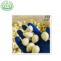Normal White Elephant garlic Seeds, High Quality