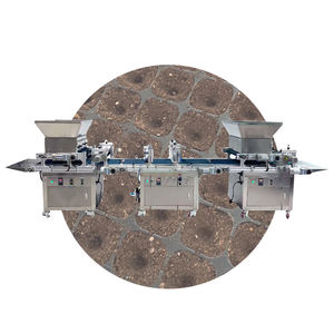 Máquina Automática para Sembrar Semillas en Bandejas, Máquina para Sembrar en Viveros - Product Image 1