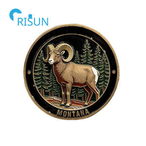 Monedas Conmemorativas Personalizadas con Mapa de Montaña y Bandera del Estado, Medallón de Recuerdo para Veteranos, Moneda de Desafío Personalizada de Montaña - Product Image 3