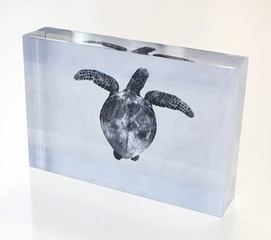 Support transparent en acrylique pour figurines d'<span class=keywords><strong>anime</strong></span>, motif de jeu personnalisé, décoration murale, personnalisation économique, articles pour fans - Product Image 5