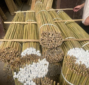 Piquets de jardin en bambou naturel écologique bon marché en gros Piquet de bambou pour le jardinage et la construction avec des matières premières - Product Image 4