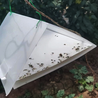 Bactrocera Oleae Feromoon Lokmiddel Vaste Olijfvliegval Ecologisch Niet-toxische Ongediertebestrijdingsoplossing