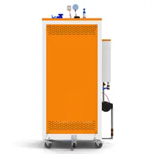 Générateur de vapeur automatique portatif industriel de chaudière de mazout de GPL de double gaz de carburant