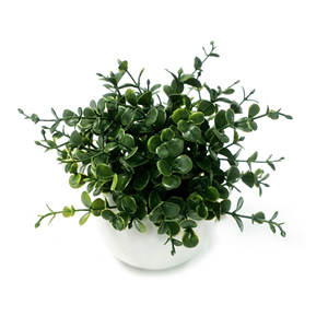 Petites plantes artificielles d'<span class=keywords><strong>eucalyptus</strong></span> <span class=keywords><strong>en</strong></span> <span class=keywords><strong>pot</strong></span> de céramique, fausse <span class=keywords><strong>terre</strong></span>, fausses plantes <span class=keywords><strong>pour</strong></span> étagère, bureau, maison, salle de bain, table basse, décoration - Product Image 2