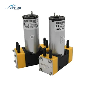 Micro 12V/24V DC Top-Qualität starke Leistung Hochdruck elektrische Doppelkopf-Flüssig luft membran pump-YW02-B-DC