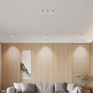 2024 Empotrado Comercial hogar Techo Rgb Led Down Lights Smart Led Downlights iluminación empotrada - Product Image 4