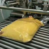 Sac d'emballage liquide personnalisé avec sacs en plastique Bag-in-Box de 1l, 3l, 5l, 10l, 20l pour vin, jus et boissons