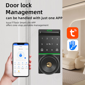 알루미늄 합금 볼 스마트 잠금장치 생체 인식 지문 터치 키패드 RFID 카드 노브 TTlock 투야 스마트 잠금 클라우드 앱 - Product Image 3