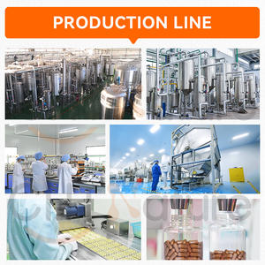 CHTNature OEM Pó de Extrato Orgânico de Cogumelo Juba de Leão (Hericium Erinaceus) com Corpo Frutífero e Micélio - Product Image 6