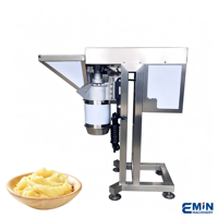 Commerciële verbrijzelingsmachine voor fijn malen van gember, knoflook, ui, chili, fruit en groenten voor sauzenproductie