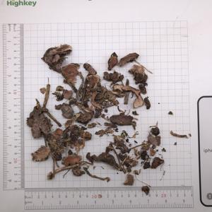 โรงงานผลิตหงจิงเทียน โรดิโอลา โรเซีย พร้อมบริการบรรจุภัณฑ์แบบ OEM รากโรดิโอลาที่มีโรซาวินส์สูง - Product Image 4