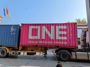 Poudre de <span class=keywords><strong>gelée</strong></span> <span class=keywords><strong>royale</strong></span> blanche laitière en vrac, approvisionnement direct usine, supplément alimentaire quotidien, poudre de <span class=keywords><strong>gelée</strong></span> <span class=keywords><strong>royale</strong></span> de haute <span class=keywords><strong>qualité</strong></span> - Product Image 6