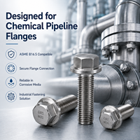 Boulon à bride hexagonale en titane GR1 GR2 GR5 M10-M36 pour bride de pipeline chimique ASME B16.5, résistant à la corrosion, OEM