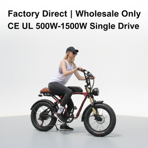 Factory Direct OEM ODM Accepted the Electric Mountain Bike with Hydraulic Disc Brakes and Rear Suspension Fat Tire Electric Bike - Product Image 4