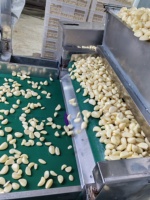 Nouvelles gousses d'ail 2026 de qualité supérieure, 500g et 2kg, en sac poly, instantanées, pratiques, hygiéniques, sûres, délicieuses, épicées et aromatiques