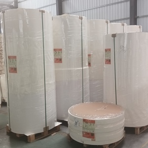 High Bulk Single PE Coated Paper Bottom Roll | Premium Raw <b>Material</b> For Sturdy Cup Base, 150GSM-350GSM Food Grade Stock - Product Image 1
