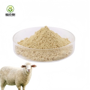 Poudre de testicules de <span class=keywords><strong>mouton</strong></span> de haute qualité, poudre de testicules d'agneau, poudre de testicules de <span class=keywords><strong>mouton</strong></span> lyophilisée - Product Image 4