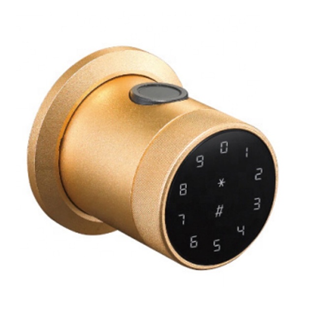 Tuya APP Smart Lock Door Handle Lock with Fingerprint (100 Capacity) Key (2 PCS) Password Home Apartment Door Lockset