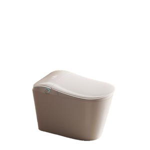 Smart Toilet Seat Heated Seat Floor Mounted Siphon Flush 5-6L 300KG <b>Load</b> Capacity Model 166 - Product Image 1