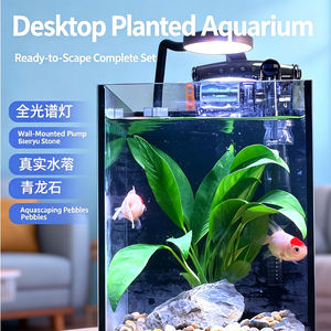 Jinjing Ultra-Clear Black-Back Desktop Eco Aquarium - Filtered Plant Tank - Product Image 6