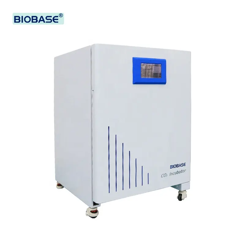 BIOBASE 50l 80l Ar Encamisado CO2 Laboratório Incubadora Litro Temperatura Constante Incubadora para FIV Laboratório