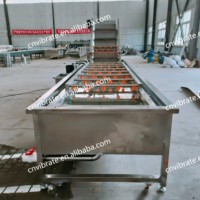 Vbjx Kleinschalige Boerderijen Ozon Bevroren Drakenfruit En Wortelgroente Voor Was-En Schilmachine Verwerkingslijn