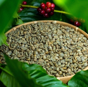 เมล็ดกาแฟอาราบิก้าพรีเมียม H1 รสไวน์ กาแฟเขียวธรรมชาติ กาแฟพิเศษที่ยั่งยืนจากเวียดนาม - Product Image 3