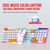 RAIKU T28 104 Key Wired Gaming Keyboard and Mouse Combo Mechanical Feel Rainbow Backlit for PC Laptop Office Home