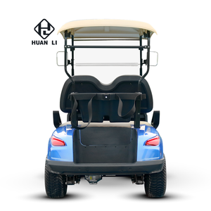 Carrito de Golf de 2 Plazas para Entusiastas - Product Image 1