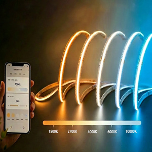 Tira de Luz LED COB de 24V, Azul Hielo a Dorado, 5 Colores Cambiantes, Inteligente, Regulable, Luz Ambiental - Product Image 2