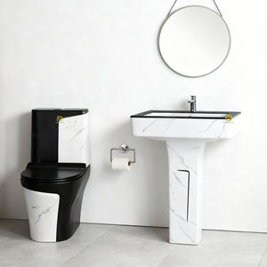 Ensemble de sanitaires en céramique de luxe, comprenant une toilette monobloc et un lavabo sur colonne, WC coloré - Product Image 2