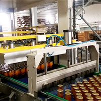 Machine complète Leadworld pour la transformation et la mise en conserve des ananas
