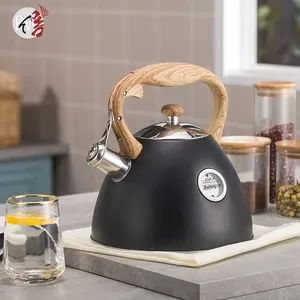 Realwin – bouilloire à eau en acier inoxydable 3,0 l, bouilloire à thé, bouilloire à siffler pour la cuisine de la maison