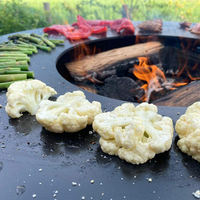 Brasero rond en acier corten avec grille pour la cuisson en plein air et les feux de joie, combustible pour bois de chauffage, écologique et portable
