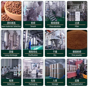 Chrysophanic Acid Powder 1%,2%,3%,5%,10%,20%,98% <strong>Radix</strong> <strong>Et</strong> <strong>Rhizoma</strong> <strong>Rhei</strong> Extract <strong>Rhei</strong> ExtractCAS:481-74-3 - Product Image 3