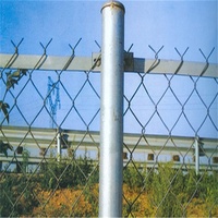 Cerca de alambre recubierta de PVC de alta resistencia, cerca de seguridad de alambre procesada a medida para protección de parques infantiles, carreteras y jardines.