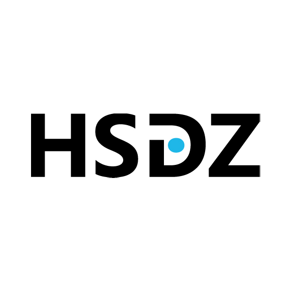 Shenzhen Hangshi Electronic Technology Co., Ltd. logo
