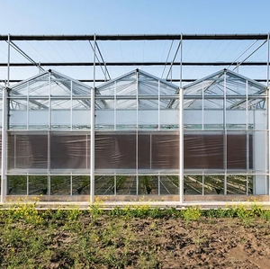 Large Multi-Span Agricultural Glass Greenhouse for Tomato Farming with Drip Irrigation and Cooling Equipment System