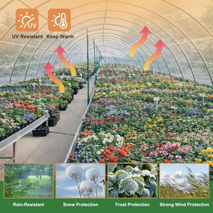 Film plastique pour serre 9x25 pieds, transparent, résistant aux UV, imperméable, pour la construction de jardins - Product Image 6