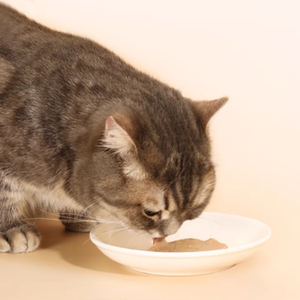 OEM ODM fabbrica all'ingrosso cibo <span class=keywords><strong>umido</strong></span> per gatti <span class=keywords><strong>salmone</strong></span> e capesante sapore di gatto tratta naturale Snack cremoso cibo <span class=keywords><strong>umido</strong></span> per gatti - Product Image 1