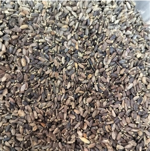 Preço De Fábrica Sementes De Cardo De Leite Seco Sementes De Silimarina Saudáveis De Ervas Chinesas - Product Image 3
