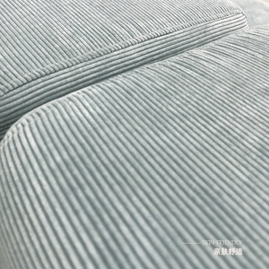 Conjunto de sofá de bloque de terciopelo de pana estilo crema perezoso nórdico sala de estar tela tapizada Decoración Para apartamento compresión al vacío - Product Image 5