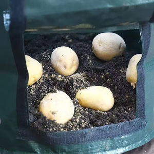 Lot de 2 sacs de culture de pommes de terre de jardin de 10 gallons avec rabat et poignées Pots en tissu d'aération <span class=keywords><strong>à</strong></span> usage intensif - Product Image 6