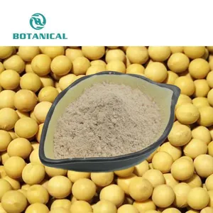 Integratore alimentare naturale giallo marrone polvere Fine estratto di soia in polvere 20% 40% isoflavoni