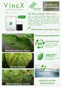 Type de liquide bore bio zinc engrais <span class=keywords><strong>npk</strong></span> engrais <span class=keywords><strong>pour</strong></span> tomate/légumes/fruits/fleurs/jardin - Product Image 6